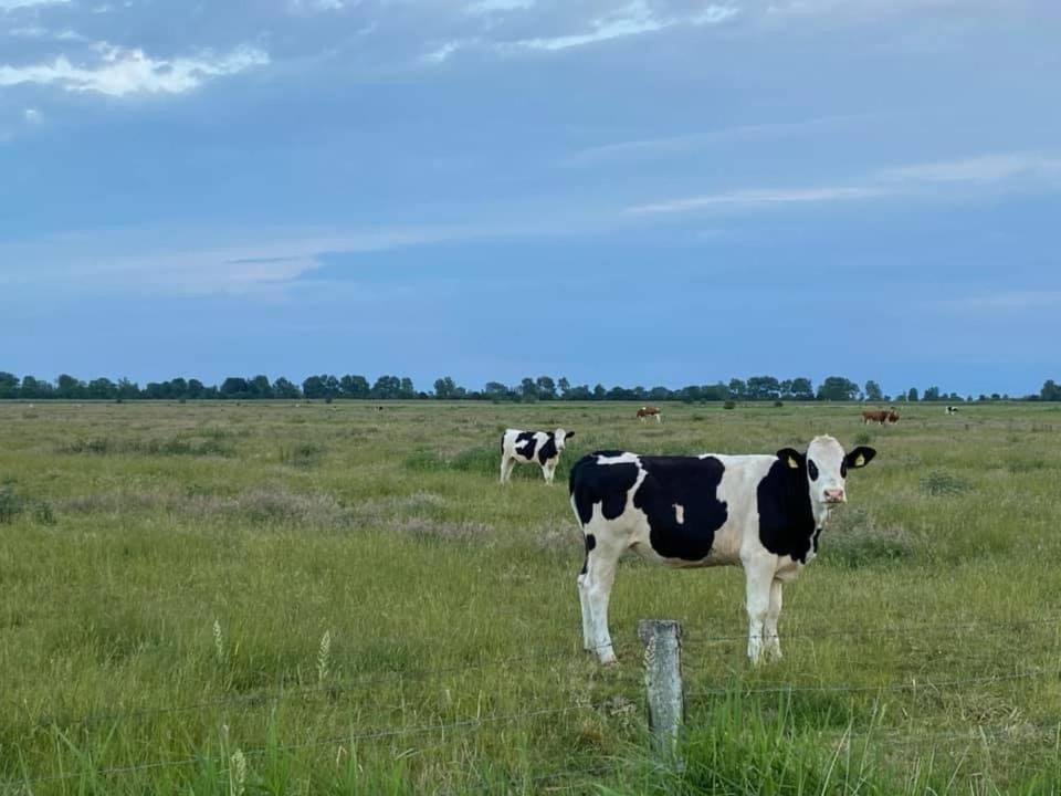 Ferienwohnung Eiderblick Hennstedt  Kültér fotó